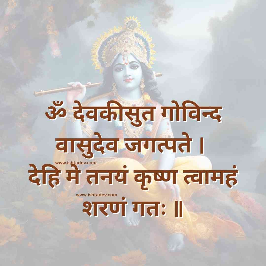 संतान गोपाल तृतीय मंत्र